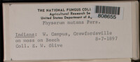 Image Associated With the Occurence